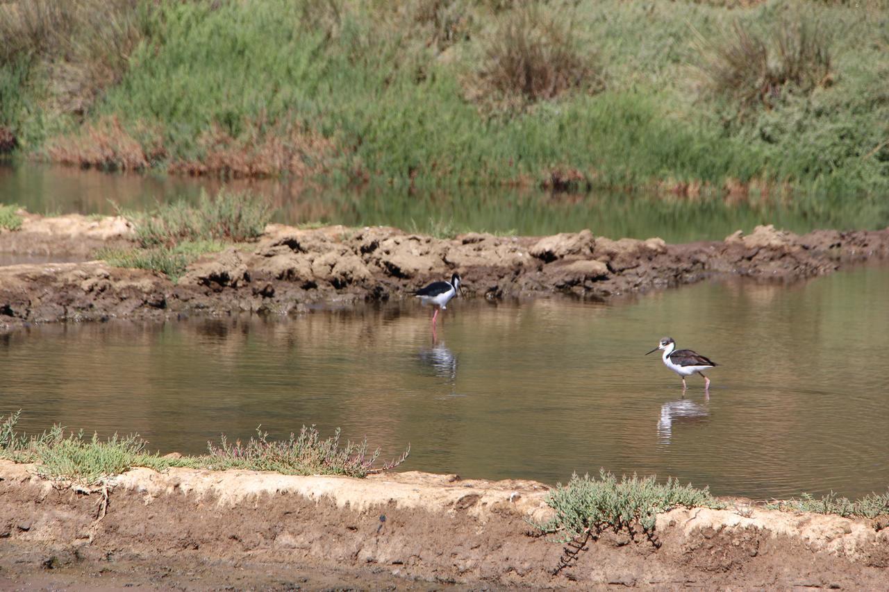 Piedra Grande 3* Pichilemu